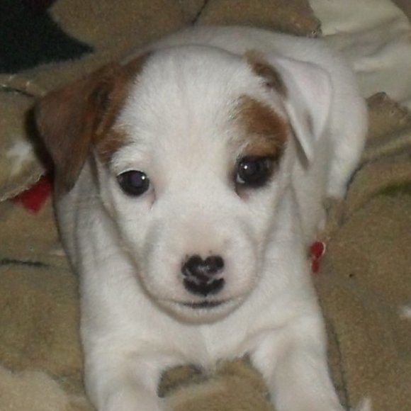 Thanks for shopping my closet!!! - Picture 13 of 16